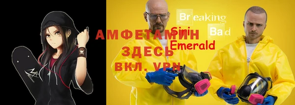 индика Вязники
