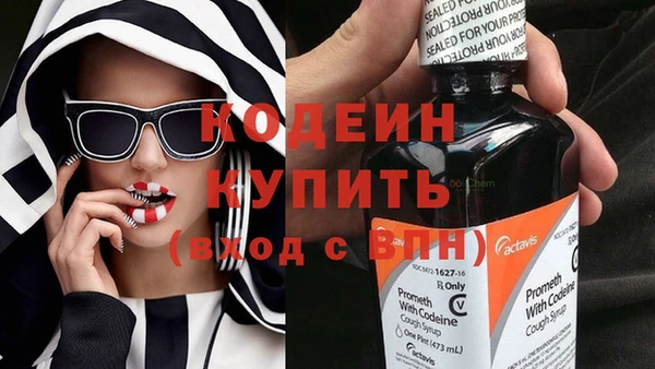 индика Вязники