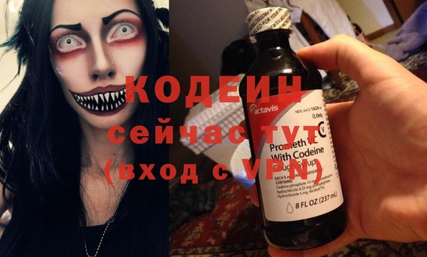 индика Вязники