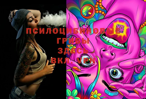 индика Вязники
