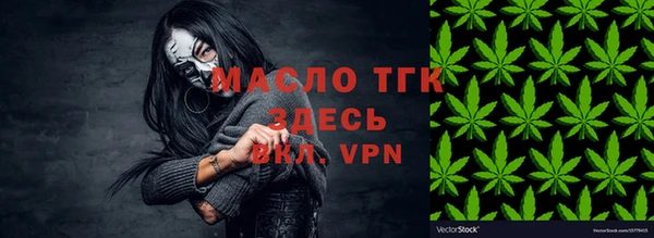индика Вязники